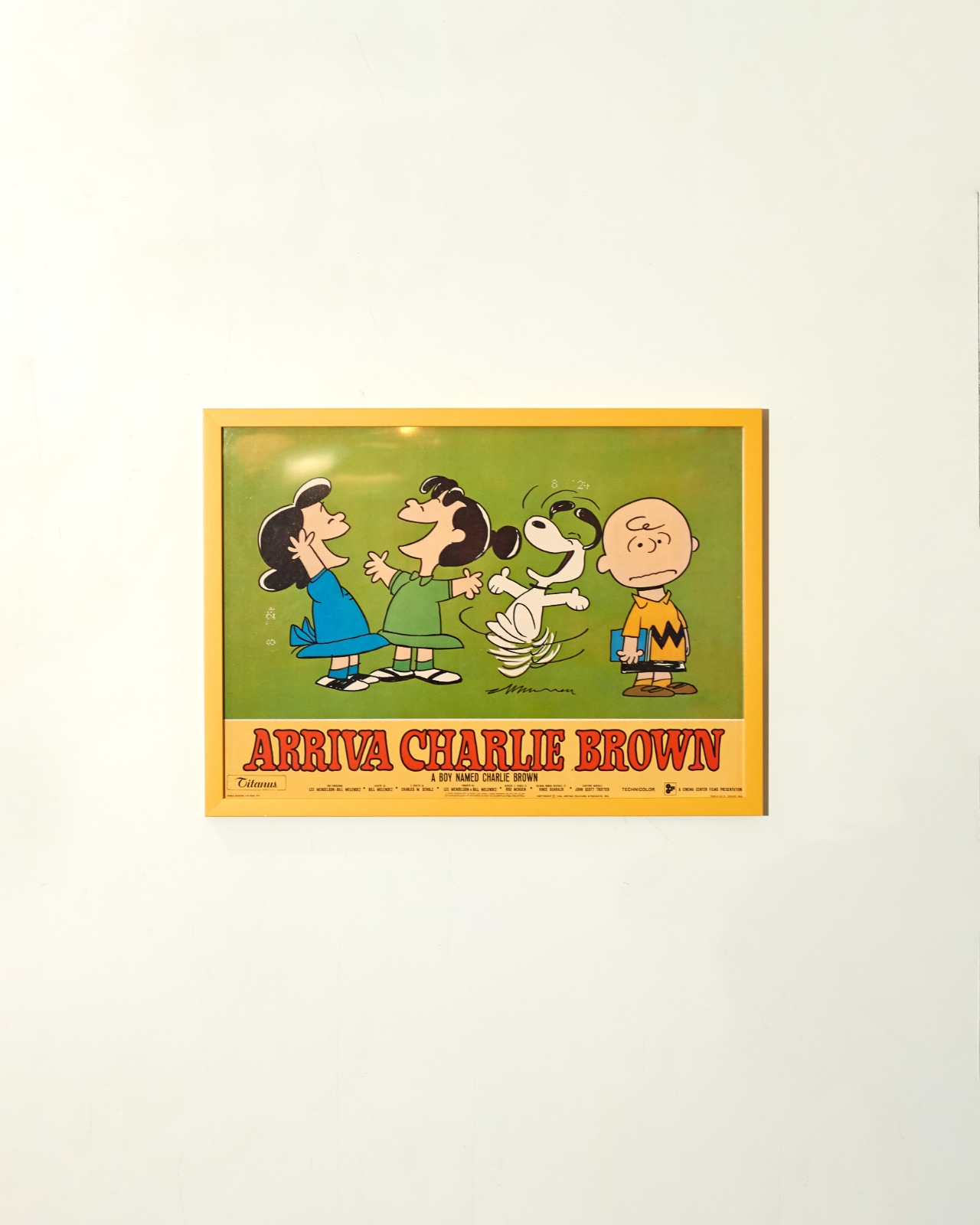 #11713 / PEANUTS - Arriva Charlie Brown